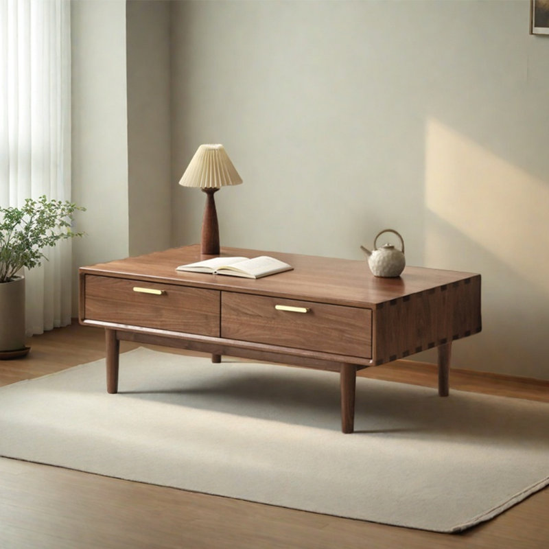 Table basse moderne avec rangement en bois massif, H 16,9 po x L 47,2 po x l 25,6 po