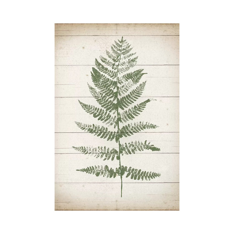 Fern Print II by Moira Hershey - Wrapped Canvas Print, 66.04 cm H x 45.72 cm W