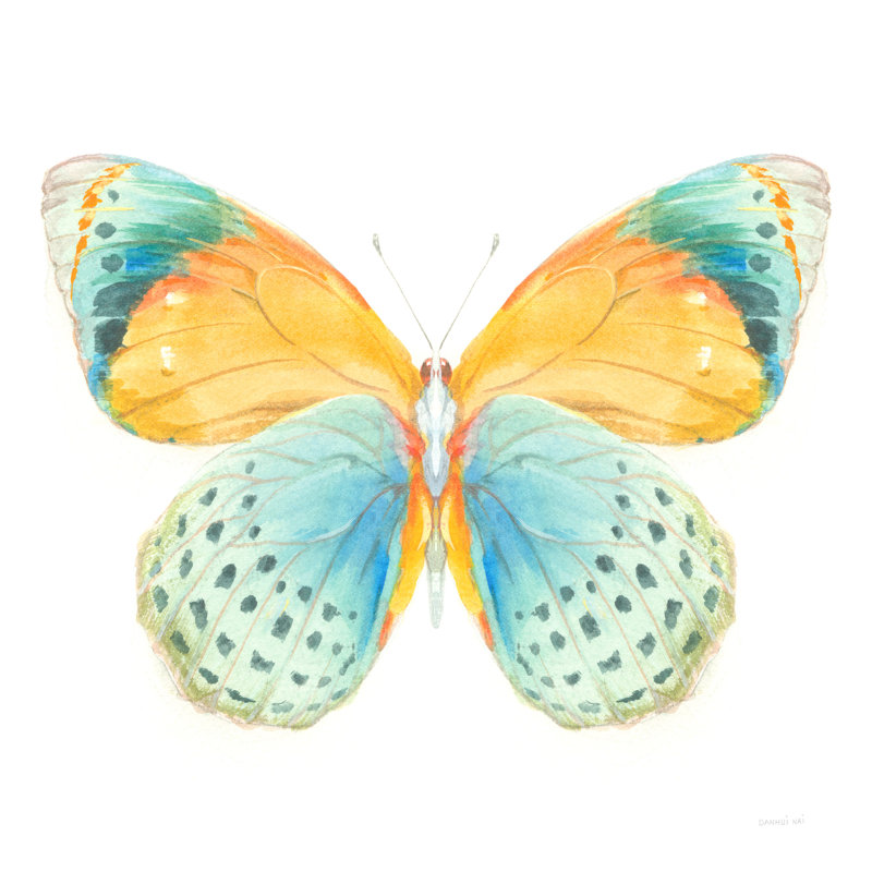 Papillon, graphique coloré, illustration, jaune, or, bleu, cyan, bleu sarcelle, indigo, sur blanc, détaillé
