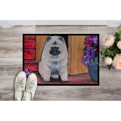 Non-Slip Indoor Doormat