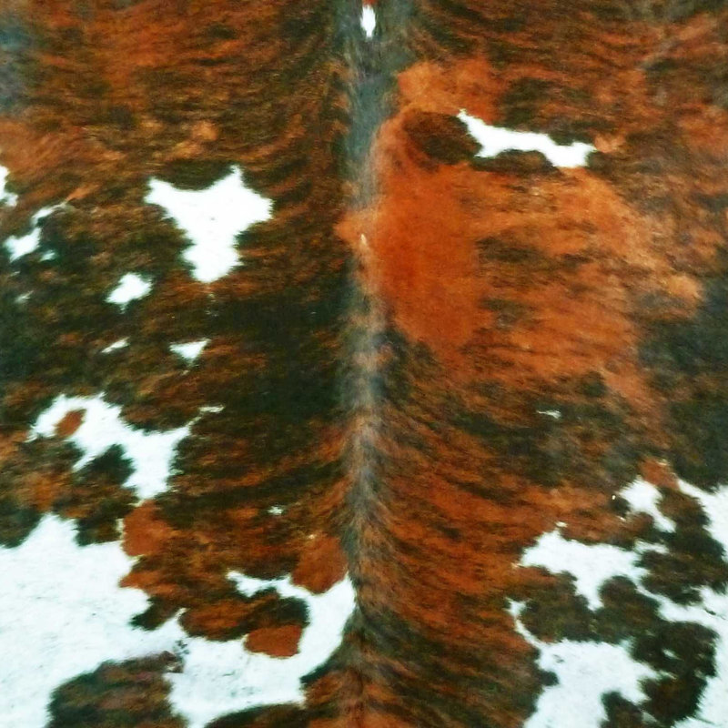 Bescott Cowhide Animal Print Indoor Rug, Novelty 6' x 7'