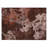Machine Washable Indoor/Outdoor Leavittsburg ACN2239 Floral Rug-1672420189
