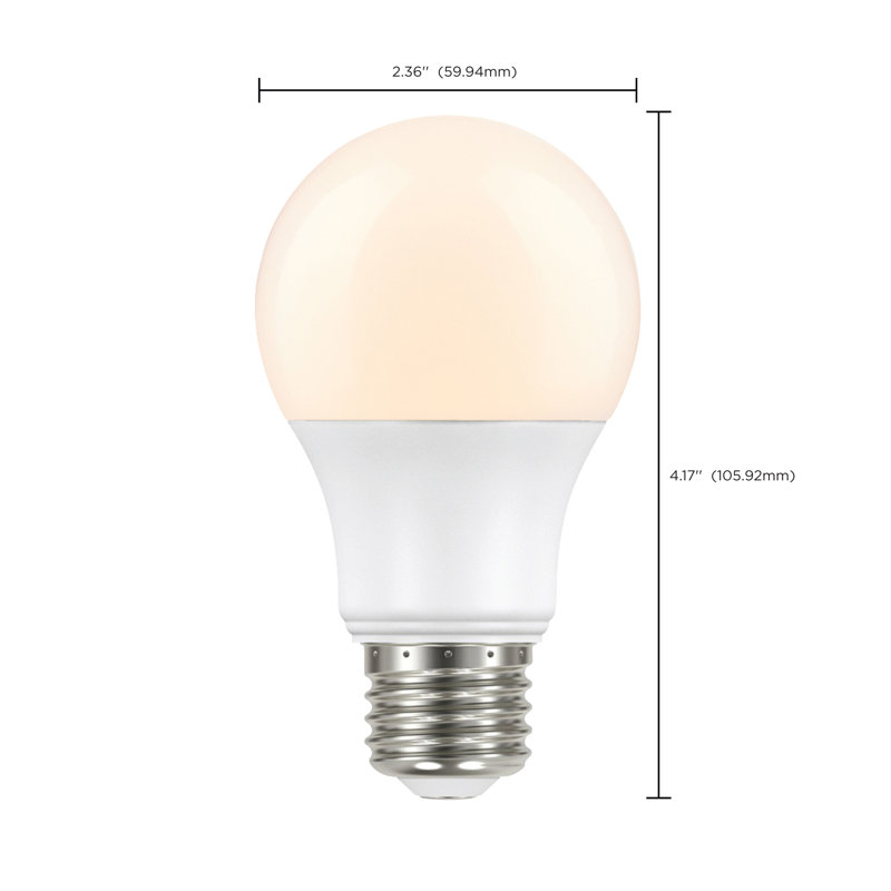 8 Watt LED Bulb