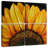 Harnek Sunflower Sunflower