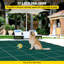 Inground Pool Safety Cover, 22 ft x 42 ft Rectangular