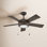 42'' 5 Blade Ceiling Fan with LED Light Kit