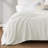 Microfleece Blanket-100946565-100946569