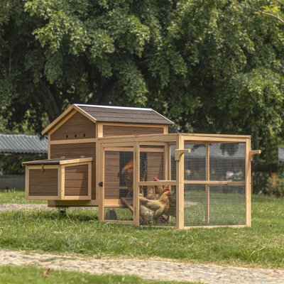 Poulailler 50 pieds carrés avec nichoir Djust pour 15 poulets
