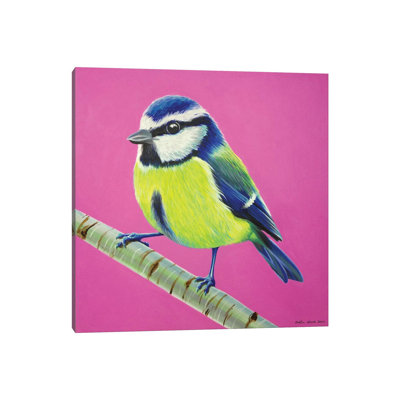 Blue Tit 1 Piece Wrapped Canvas Wall Art