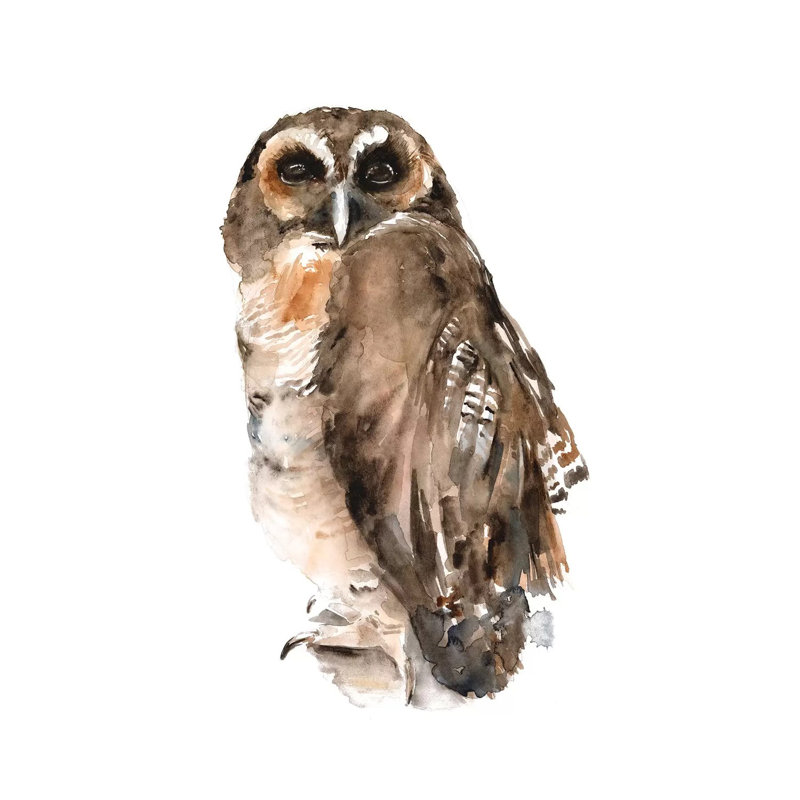 Watercolour Owl I by Jennifer Paxton Parker - Wrapped Canvas Print, 66.04cm H x 45.72cm W x 1.905cm D