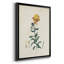 Toile encadrée de qualité supérieure Traditional Botanical III - prête à être accrochée-1366615107-1366615105