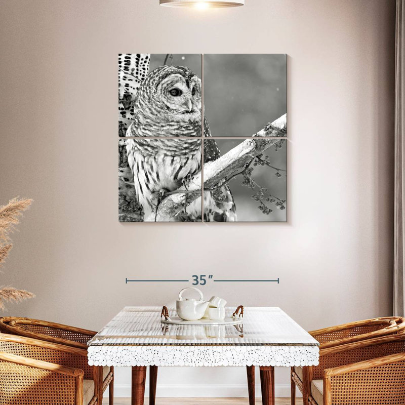 White Owl BW