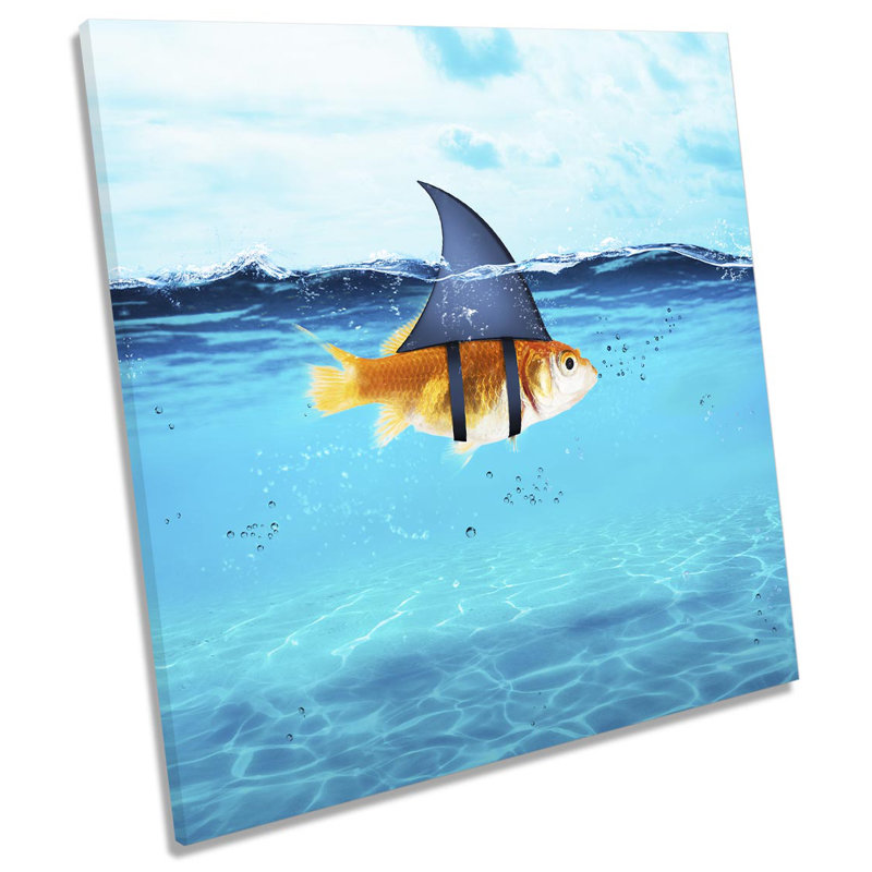 Z2564 Goldfish Shark Fin Bathroom - Wrapped Canvas Print, 76.2cm H x 76.2cm W x 4cm D