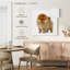 Spitz poméranien miniature Brampt-109232667