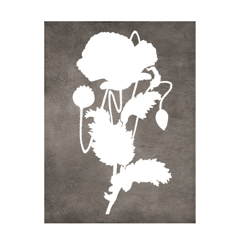 Art sur toile «Bachelor Tina Lavoie Spirit Poppy I», H 14 po x l 19 po