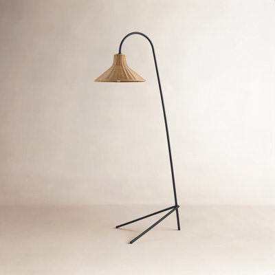 Sylvia 67'' Iron Floor Lamp