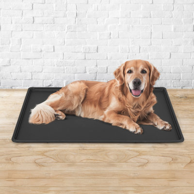 46.8-Inch Dog Crate Pan Replacement, Sturdy, Waterproof Plastic Tray for 48-Inch Pet, Rabbit Ferret Critter Kennels, Versatile Pan and Easy to Clean 