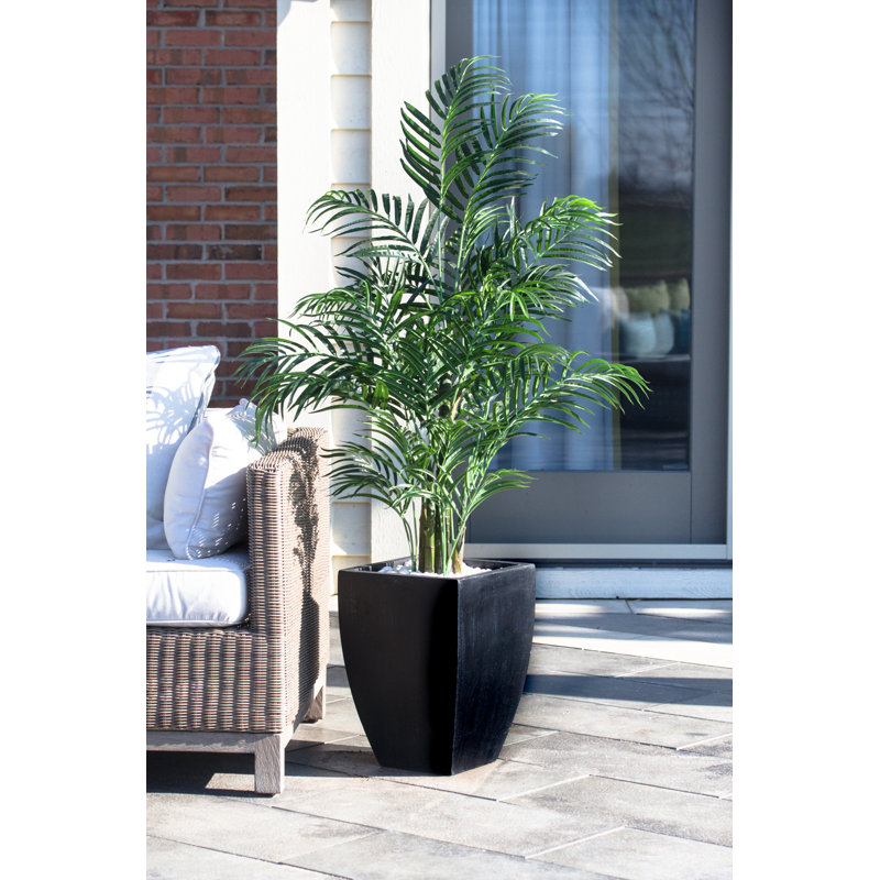 Palmier Areca avec jardinière résistante aux rayons UV (intérieur / extérieur), Noir, H 54 po x l 33 po x P 33 po