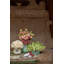 Herbariae Porcelain Fruit Bowl
