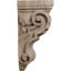 Corbeau Acanthus moyen moyen l 4 1/2 po x P 5 po x H 10 po (paquet de 6)-91125786