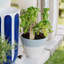 Viva Garden Handmade Planter-1485586944-1485586973