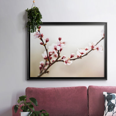 " Cherry Blossom Study I "