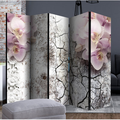 Portnoy 225cm W x 172cm H 5 - Panel Solid Wood Folding Room Divider