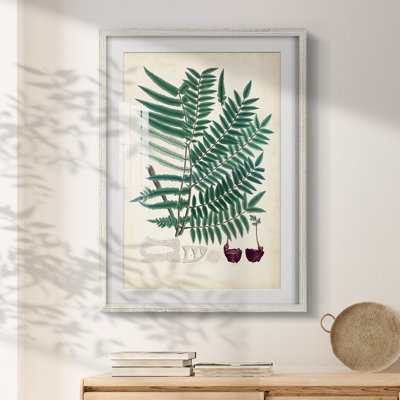Zac -Gallery Wrapped Canvas