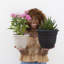 Pot à fleurs intérieur / extérieur Traditional-927975562-927975675