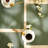 Jakevis Polyester Rectangle Placemat-493355784