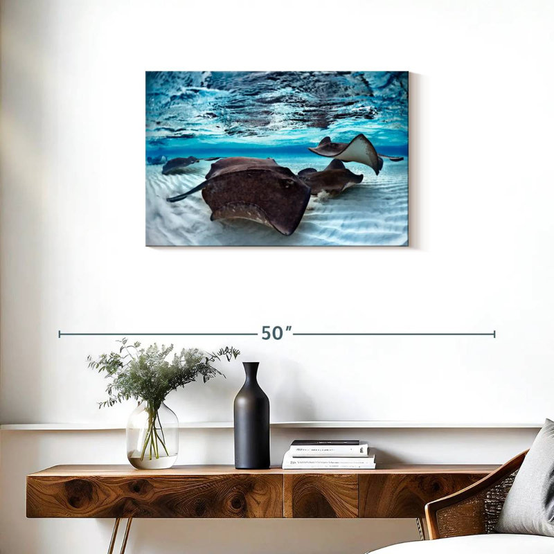 Brampt Stingrays Sea Life, 20" H x 30" W