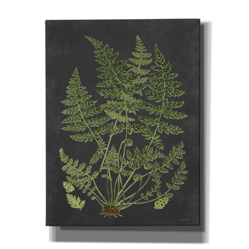 «Fern Study» par Lettered & Lined, estampe numérique sur toile, H 16 po x l 12 po x P 0,75 po