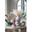 Sand And Cement Nautilus Shell Planter With Textured Beige Finish-886896801