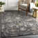 Ahnalise Oriental Indoor Rug