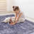 Anthracite Washable Rug 2'6'' X 10' Runner Rug (Anthracite, 2'6'' X 10')-1781323914