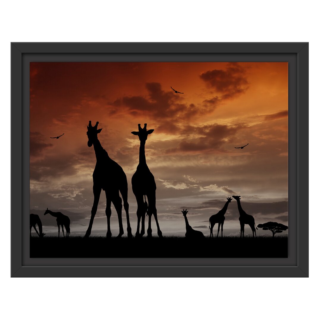 Gerahmtes Wandbild Afrika GiraffenSonnenuntergang