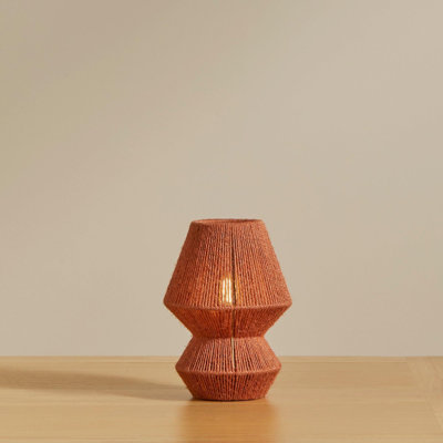 Aksoyn Iron Novelty Table Lamp