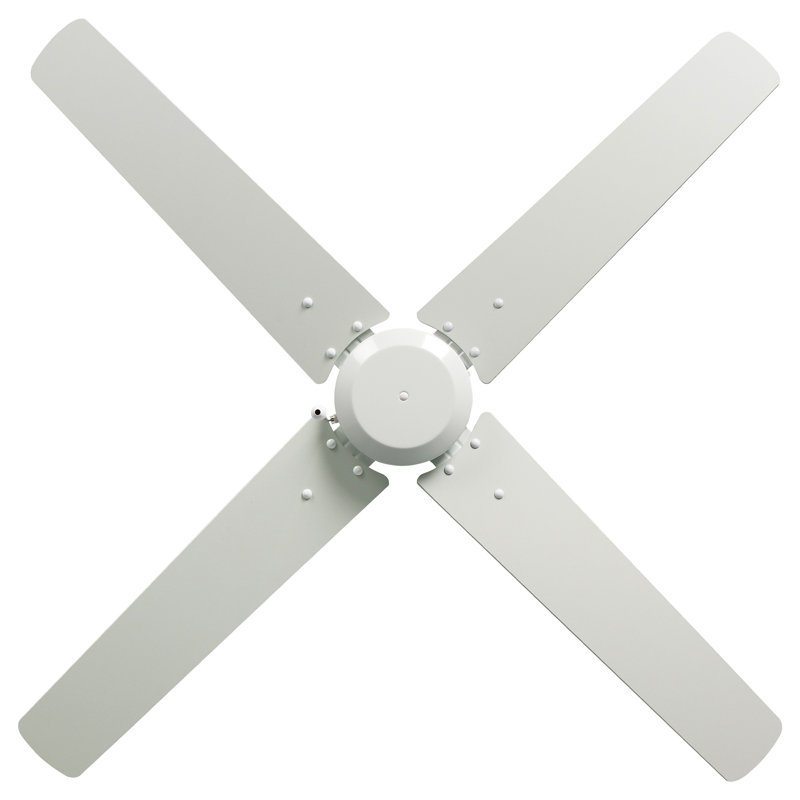 Ventilateur de plafond d'intérieur 4 pales Scoggins, Blanc, 207, Blanc