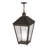 Baylynn Outdoor Hanging Lantern
