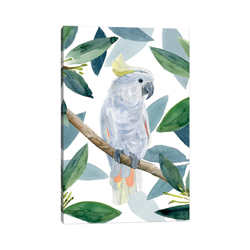Cockatoo Perch I by Annie Warren - Wrapped Canvas Print, 101.6 cm H x 66.04 cm W x 3.175 cm D