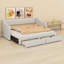 Lit de jour chic avec deux tiroirs-129111280
