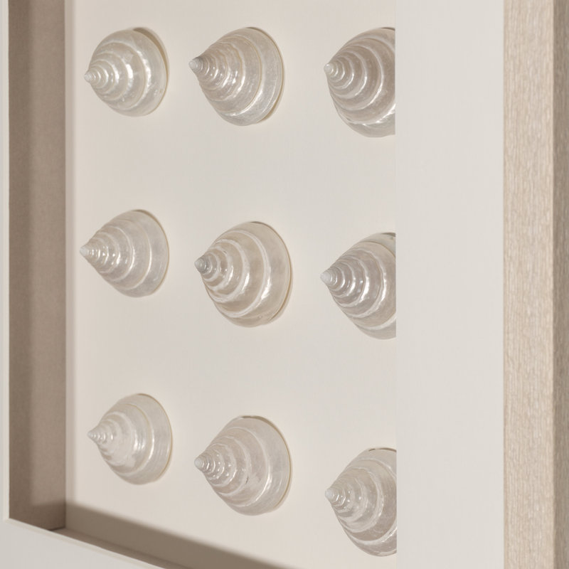 Seashell Collection Handmade Coastal Nautical & Beach Wall Decor