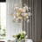 Nichalaus 6 - Light Dimmable Chandelier-968088953-968088956