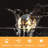 Oralla Outdoor 34 - Bulb 1200'' Plug-in LED Globe String Light