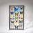 22 Genuine Butterflies In Black Display Frame