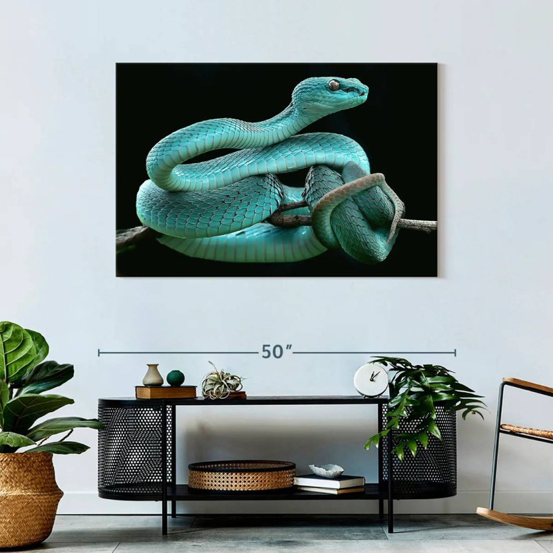 Brampt Blue Pit Viper, 30" H x 45" W