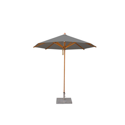 Yadira Market Parasol