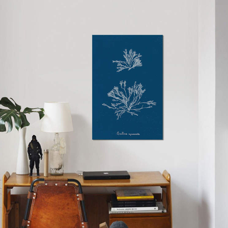 «Delicate Coral IV», impression sur toile, H 40 po x l 26 po x P 1,5 po, Toile tendue, Pas de tapis