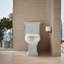 Tresham® 1.28 GPF Water Efficient Elongated Two-Piece Toilet (Seat Not Included)-1979266930-1934683327