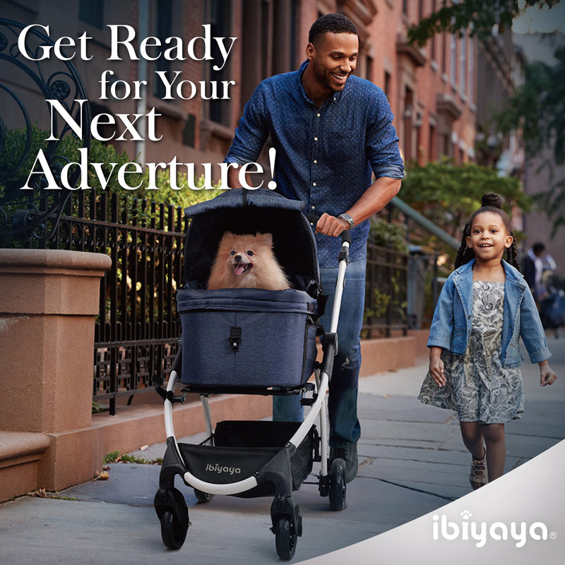 Blue Denim 3-in-1 Pet Stroller with Removable Carrier